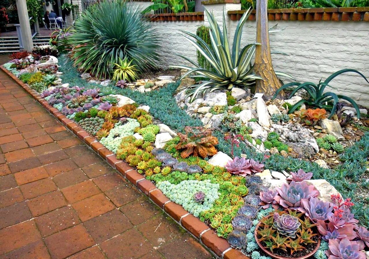 Poco tempo per il giardino? scegli i cactus Composizione piante grasse giardino