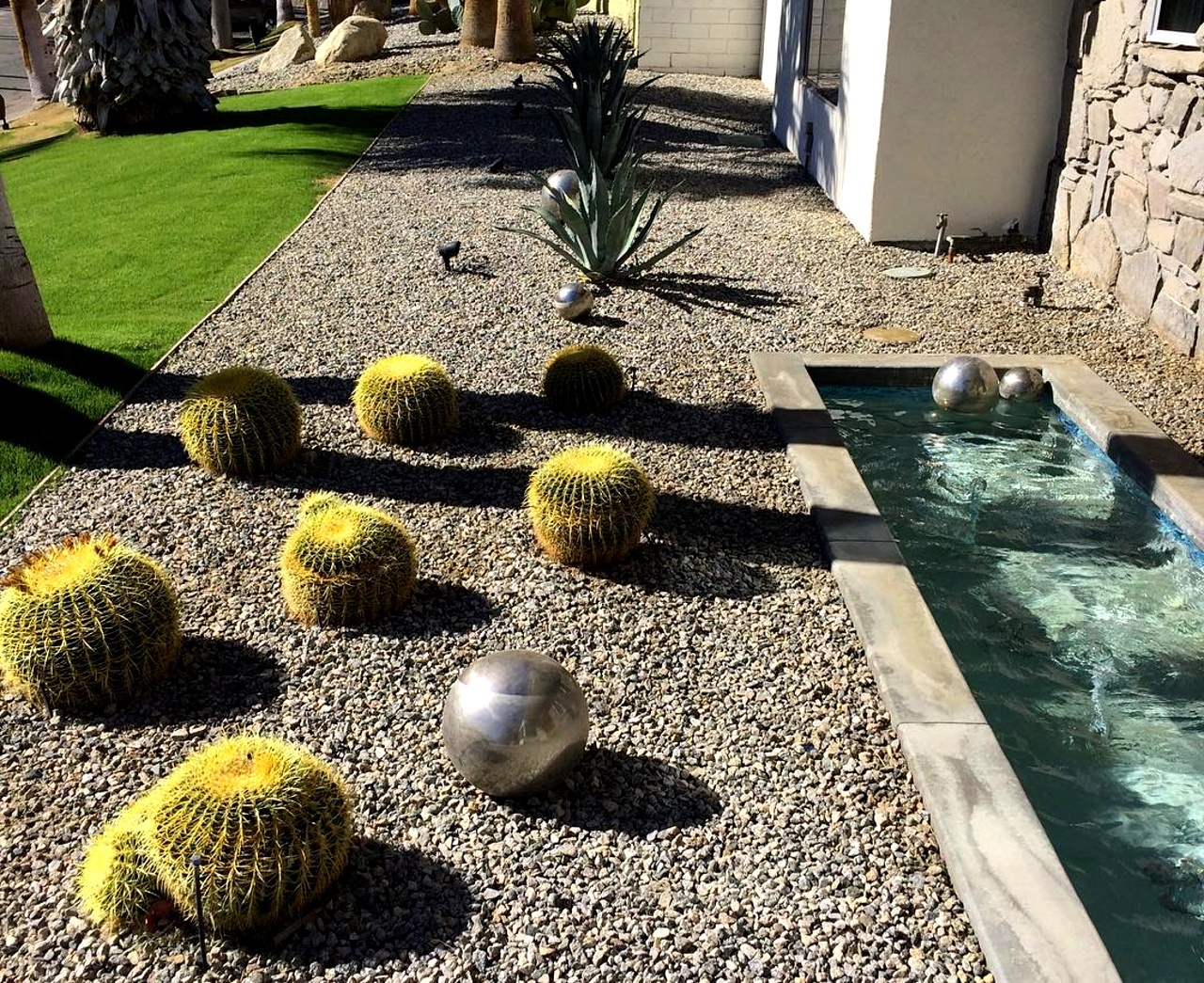 Minimal garden design con rocce e cactus
